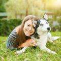 Tips for bringing your dog to the beach